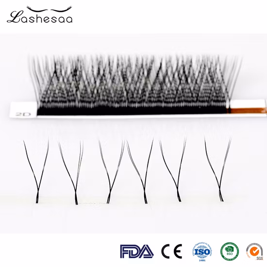 Mengfan 중국 여왕 속눈썹 제조업체 볼륨 속눈썹 WV Yy 모양 확장 개별 가짜 속눈썹 Yy 속눈썹 개인 상표 속눈썹 Yy 속눈썹 확장