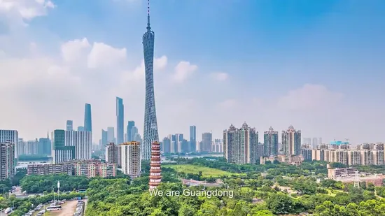 Mengfan 중국 팬 속눈썹 밍크 속눈썹 공장 개인 상표 가짜 밍크 속눈썹 연장 개별 속눈썹 연장 무광택 화장품 속눈썹 연장