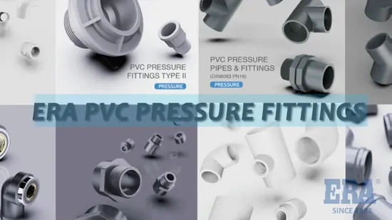  Era 브랜드 플라스틱/PVC 압력 파이프 피팅.  DVGW 인증 DIN 표준 리듀싱 링